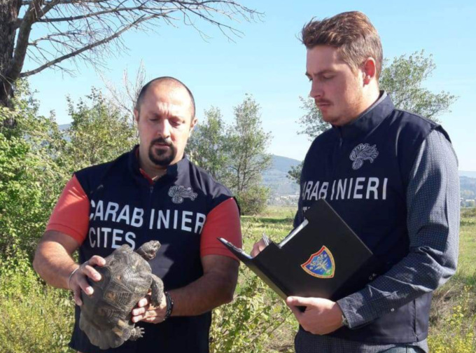 Tutti i risultati dell’attività svolta nel 2022 dai Carabinieri Forestali 