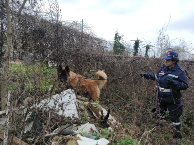 Il cane Nello scova cinque dosi di cocaina, spacciatore denunciato