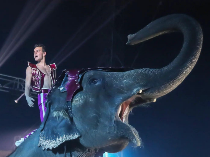 Il più grande Circo italiano è pronto ad arrivare a Signa 