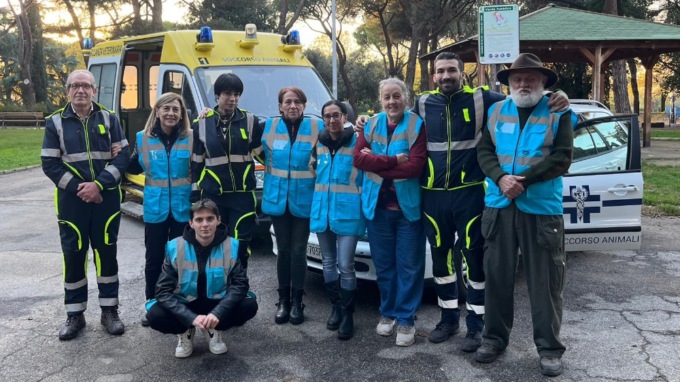 Il primo soccorso per animali in difficoltà: i volontari di Heart Animals spiegano come aiutare pet domestici e selvatici in caso di emergenza