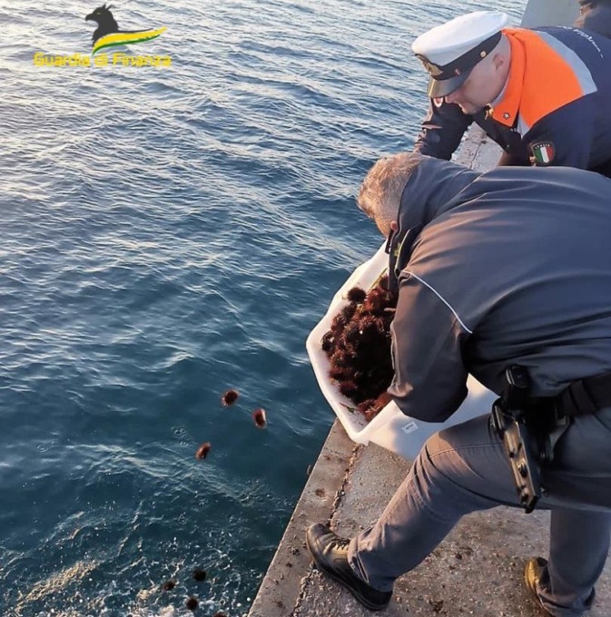 Pescano oltre 1600 esemplari di ricci di mare, beccati pescatori di frodo