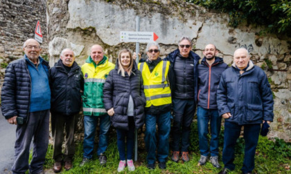 Un cartello per la grande quercia monumentale della Parancola 