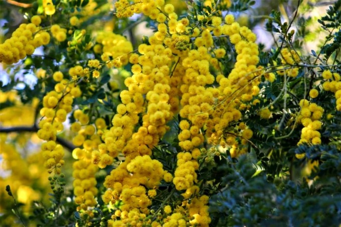 Giornata Internazionale della Donna: Musei Civici gratis per il pubblico femminile