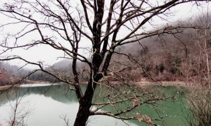 Cammini dell'acqua, a Montemurlo nasce un percorso naturalistico sul ciclo dell'acqua lungo il torrente Bagnolo