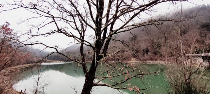 Cammini dell’acqua, a Montemurlo nasce un percorso naturalistico sul ciclo dell’acqua lungo il torrente Bagnolo