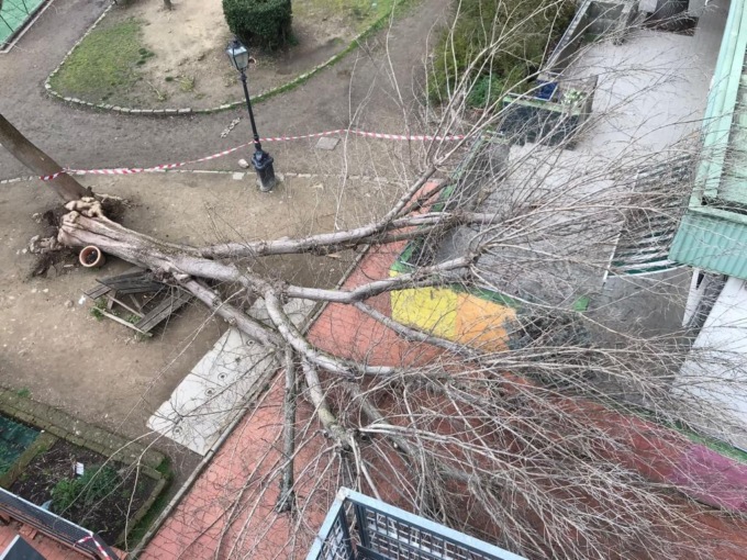 Tragedia sfiorata nei giardini della scuola Pestalozzi e Vittorio Veneto: domani il presidio di “Priorità alla scuola” 