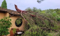 Allagamenti Ferragosto, via alla ricognizione puntuale dei danni