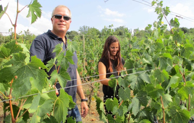 Un’azienda senese a Opera Wine tra le migliori 130 cantine italiane