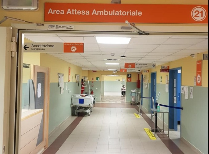 Primo caso di «candida auris» a Pisa, paziente ricoverato a Malattie infettive