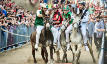 "Palio dei somari" a Torrita di Siena, secondo fine settimana di eventi