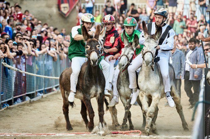 “Palio dei somari” a Torrita di Siena, secondo fine settimana di eventi