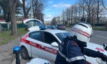 Nascondeva la cocaina nelle siepi in città. Arrestato 49enne con 100 grammi di cocaina