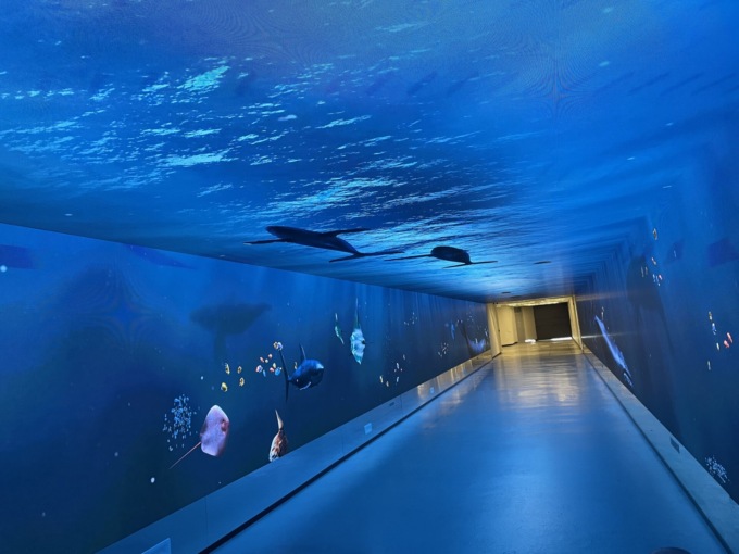 Il sottopassaggio della stazione a Firenze come un acquario: tra balene, squali e stelle/ IL VIDEO