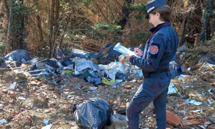 Costruttore edile abbandona rifiuti in mezzo al bosco, denunciato