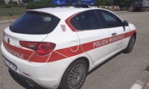 Lo abbraccia e gli ruba il portafogli: beccato dalla Municipale