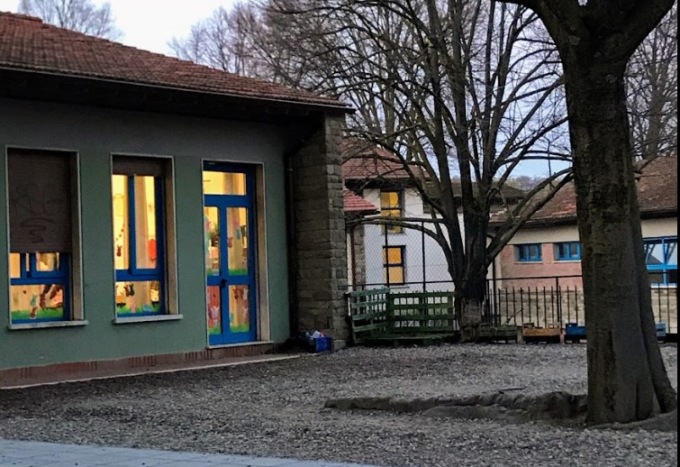 Cade un albero nel giardino di una scuola, al via piano straordinario di controllo