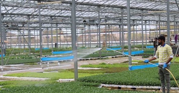 L’allarme di Coldiretti: “Nelle campagne toscane mancano 10 mila lavoratori stagionali”