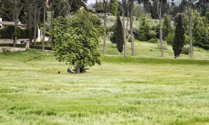 Cresce il parco del Mensola, due nuove aree sportive e un orto didattico