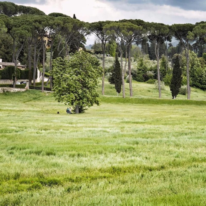 Fiamme al parco del Mensola, baracche a rogo