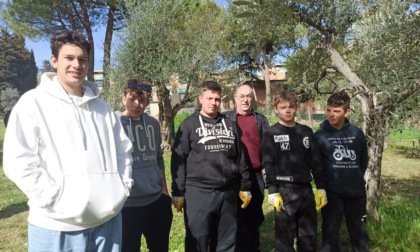 Sulle colline del Chianti c'è una scuola che insegna a diventare contadini