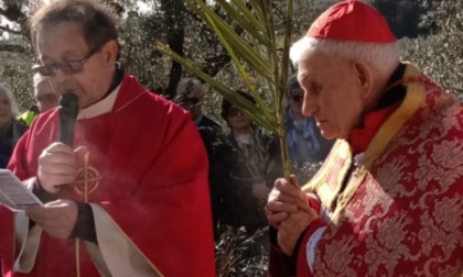 Il cardinale Simoni ha inaugurato i riti della settimana Santa a Querceto