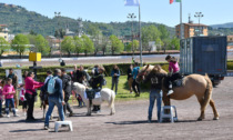 Montecatini Terme, al Sesana al via la stagione ippica con tante novità