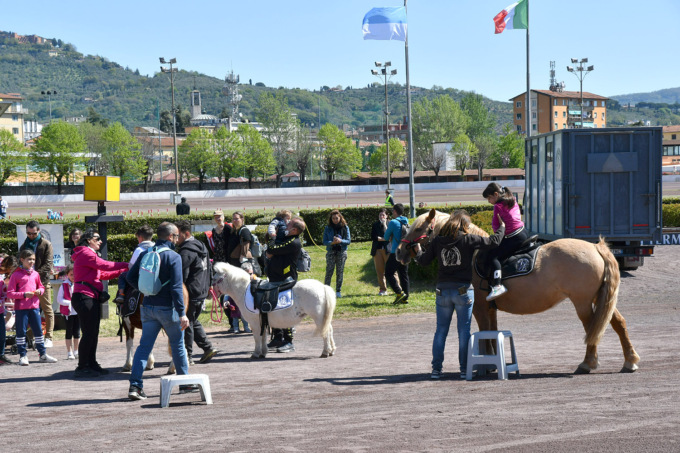 Montecatini Terme, al Sesana al via la stagione ippica con tante novità