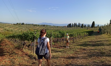 Nuovi itinerari nel Chianti classico, un patrimonio diffuso e naturale