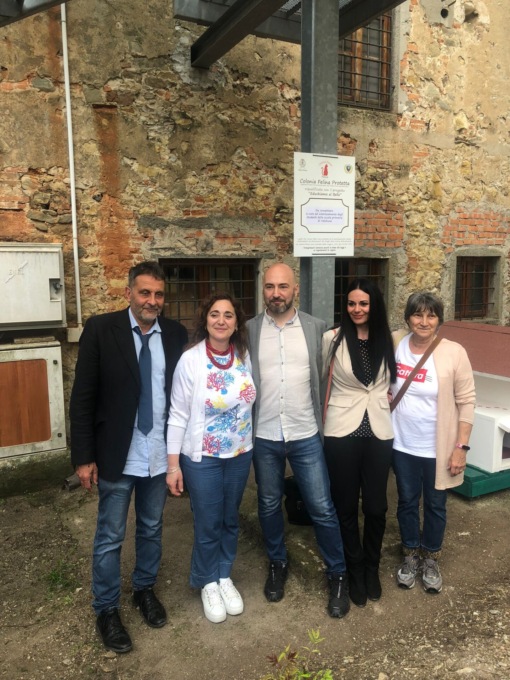 Il comune salva le colonie feline… aiutato dai bambini