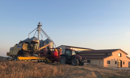 Maltempo e grandine, danni per gli agricoltori: “La situazione peggiore è quella del grano”