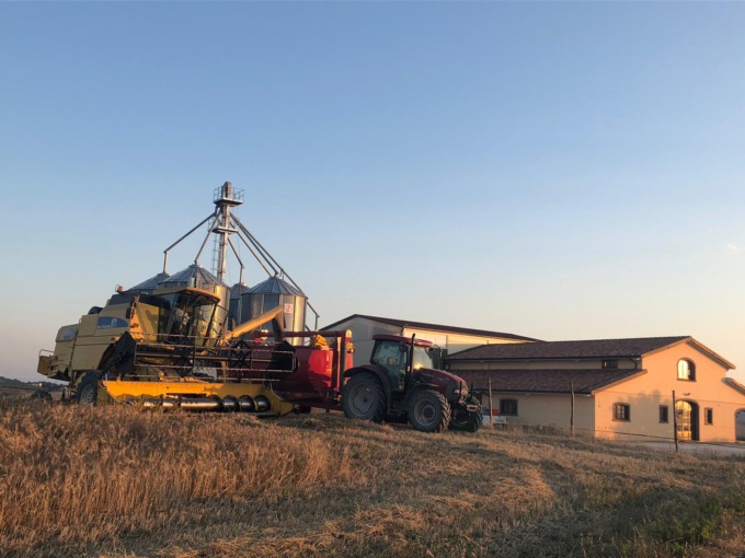 Maltempo e grandine, danni per gli agricoltori: “La situazione peggiore è quella del grano”