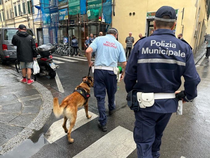 Nel bagagliaio della macchina? 65 bicchieri di cocktail alcolici. Così un commerciante fiorentino eludeva i controlli