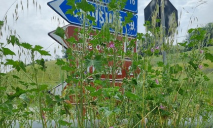 Sicurezza a rischio su una delle strade più belle della Toscana