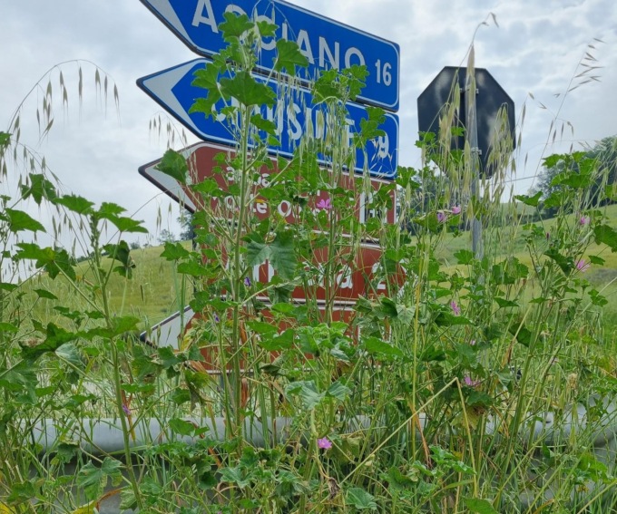 Sicurezza a rischio su una delle strade più belle della Toscana