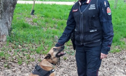 Morso dal cane portato a passeggio: finisce all'ospedale