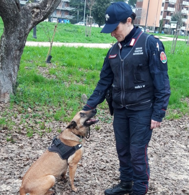 Morso dal cane portato a passeggio: finisce all’ospedale