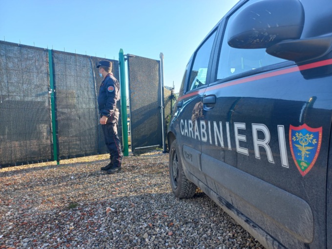 Giovane italiano arrestato per spaccio: in casa anche armi