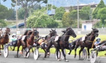 Fine settimana all'ippodromo Snai Sesana, corse al trotto e non solo