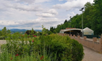 Sagra del Tartufo Scorzone a Montespertoli