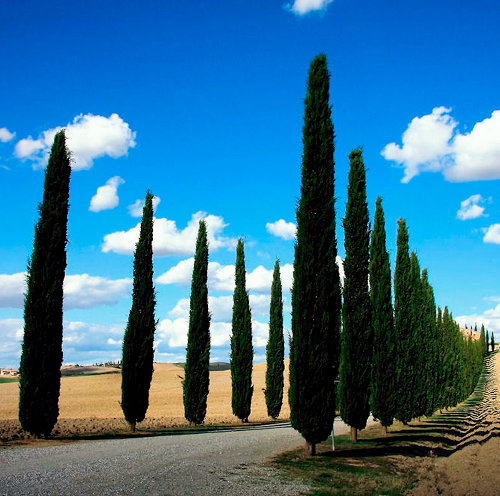 Turismo in Toscana, il 2022 ha segnato la definitiva ripresa dopo la pandemia