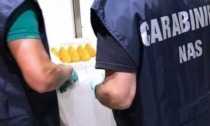 Blitz dei Nas in Versilia: chiusi due locali e sequestrato mezzo quintale di alimenti in cattivo stato di conservazione