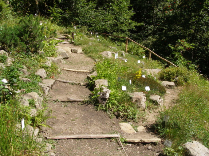 Due appuntamenti da non perdere all’Ecomuseo della Montagna Pistoiese