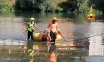 Paura per un cagnolino rimasto bloccato in mezzo al fiume Serchio