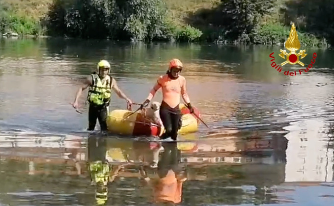 Paura per un cagnolino rimasto bloccato in mezzo al fiume Serchio