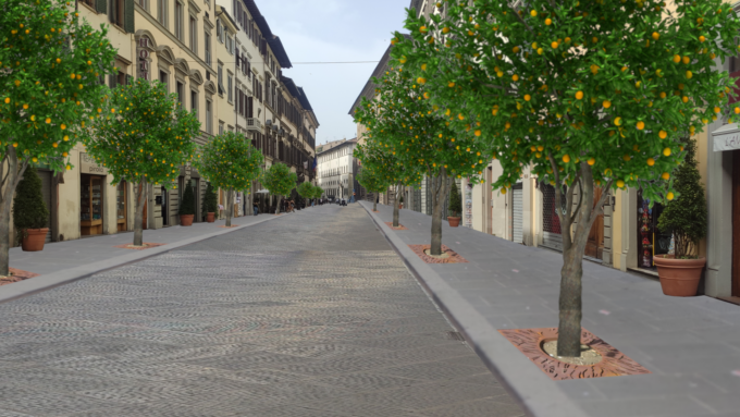 Firenze: in via Martelli arrivano gli alberi di agrumi