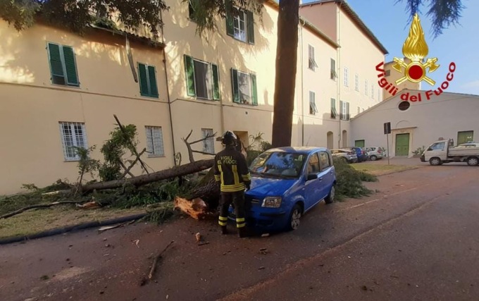 Cade grosso ramo su un’auto nel centro di Lucca