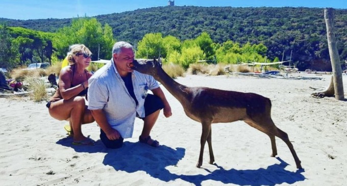 Calci contro un cerbiatto in spiaggia, il sindaco di Grosseto si mostra sui social baciandone uno