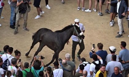 A Siena vince l'Oca, ma a tener banco è la polemica fra il sindaco e la Santanchè