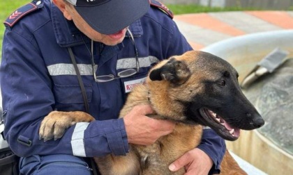 Oltre due etti di sostanze stupefacenti recuperati grazie a Sirio