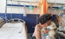 Animali d'affezione in ospedale? Adesso è possibile ad Arezzo, Grosseto e Siena